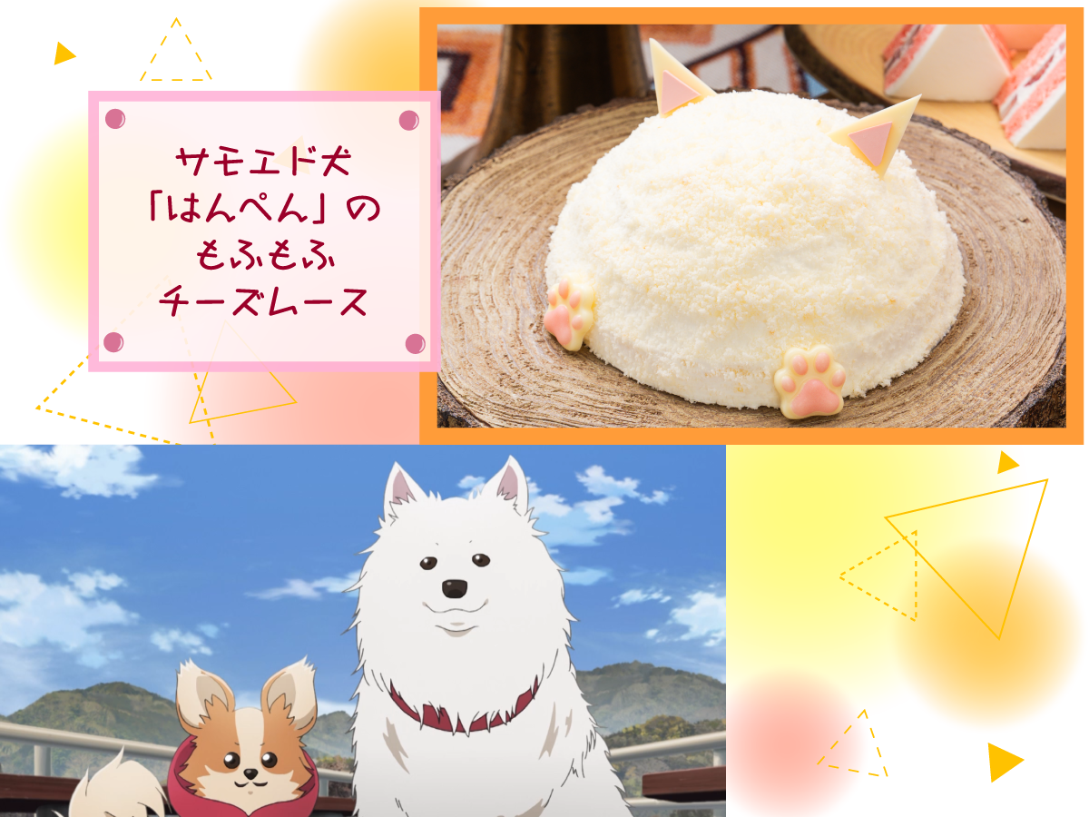 サムエド犬「はんぺん」のもふもふチーズムース