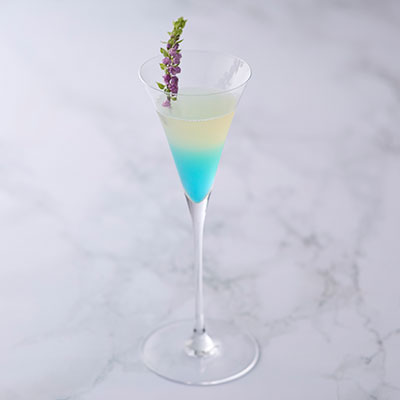 季節のおすすめカクテル