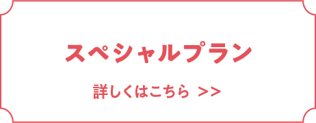 スペシャルプラン