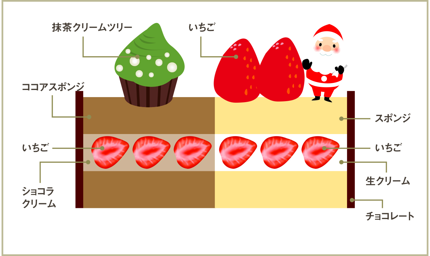 フェット断面図