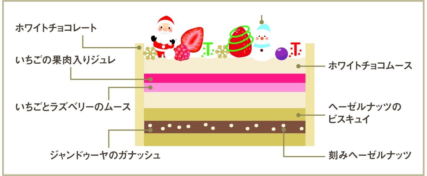 ノエル ミニョン断面図